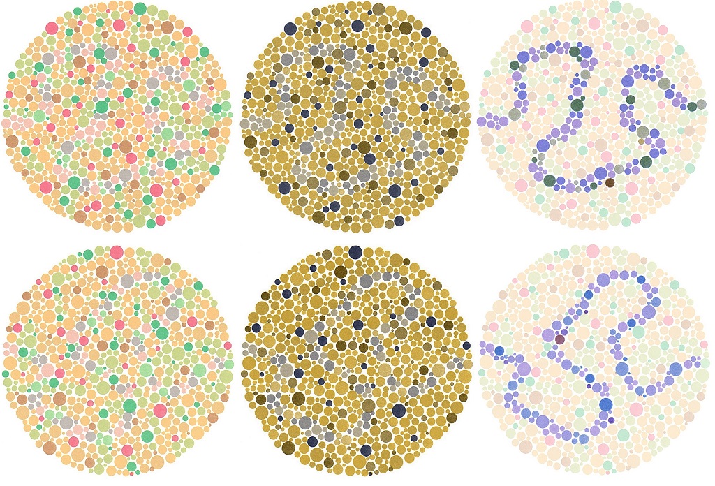 Protanop color blind test image